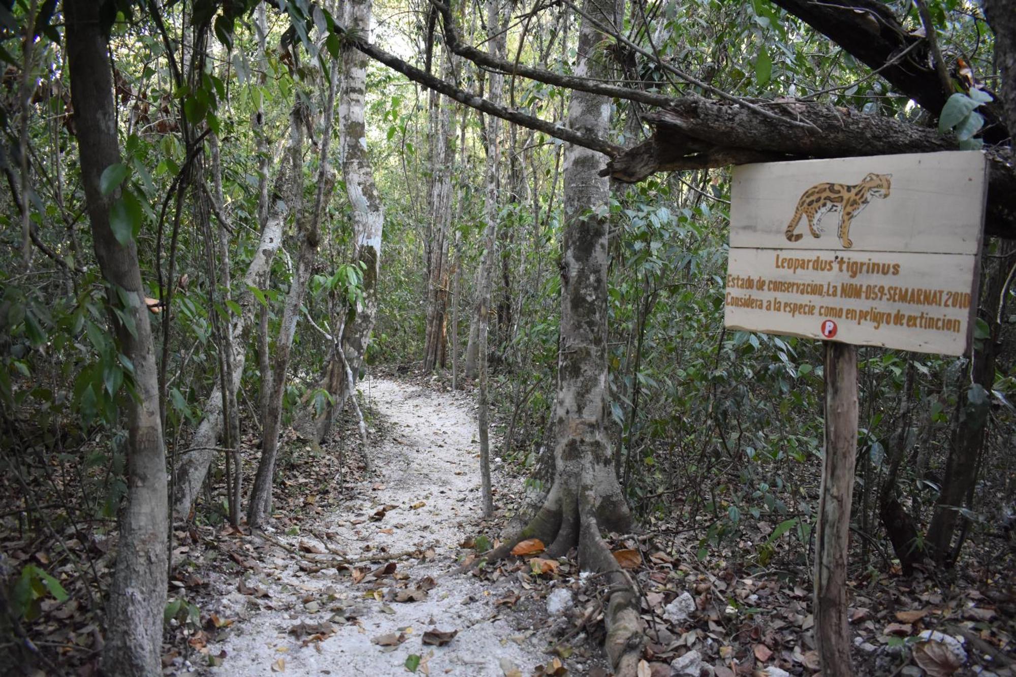 Eco Aldea Kinich Ahau Villa Xpujil Buitenkant foto