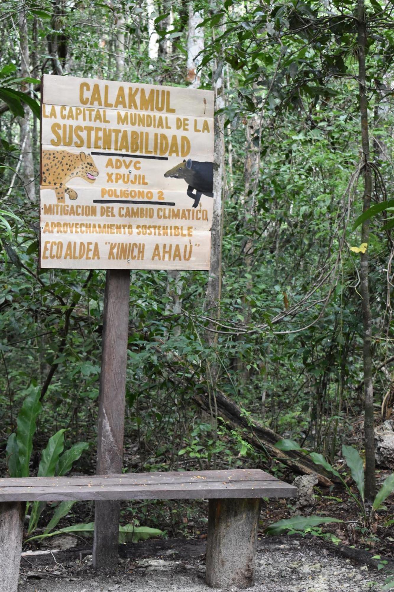 Eco Aldea Kinich Ahau Villa Xpujil Buitenkant foto