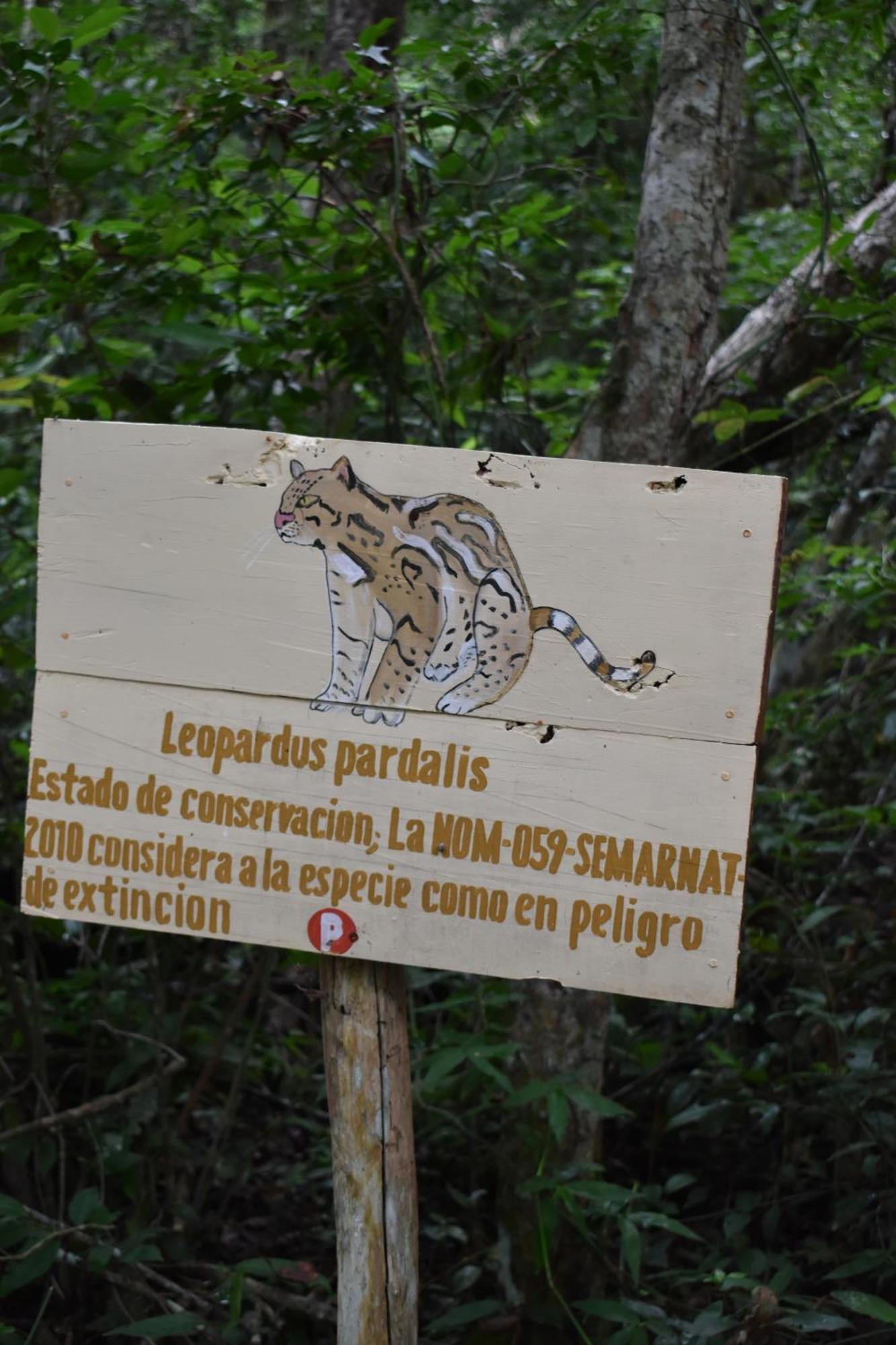 Eco Aldea Kinich Ahau Villa Xpujil Buitenkant foto