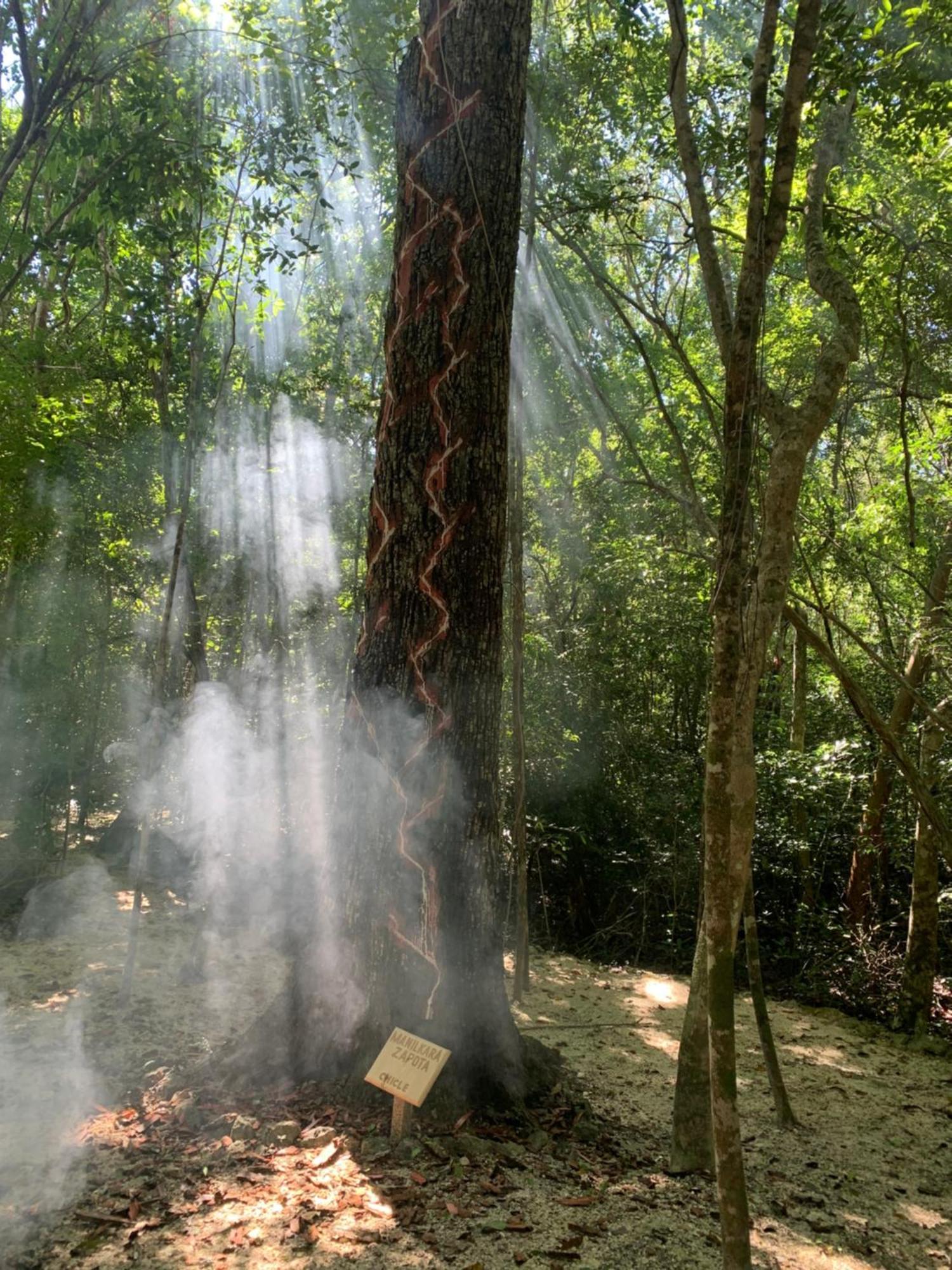 Eco Aldea Kinich Ahau Villa Xpujil Buitenkant foto